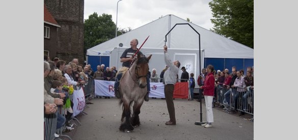 Paardenmarkt 2011 Ringsteken met Belgische trekpaarden