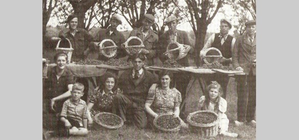 De kersenpluk, aan de dis met hoenderik en bussel - 1940 (Bron: Enspijk.info)