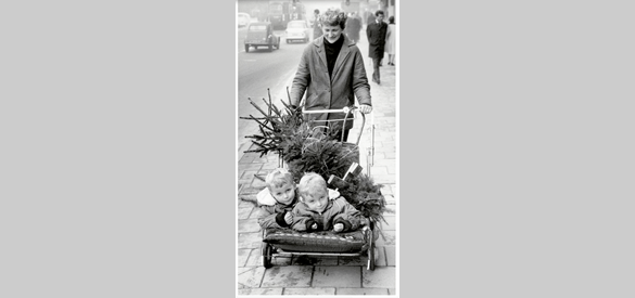 Het kopen van een kerstboom rond 1970