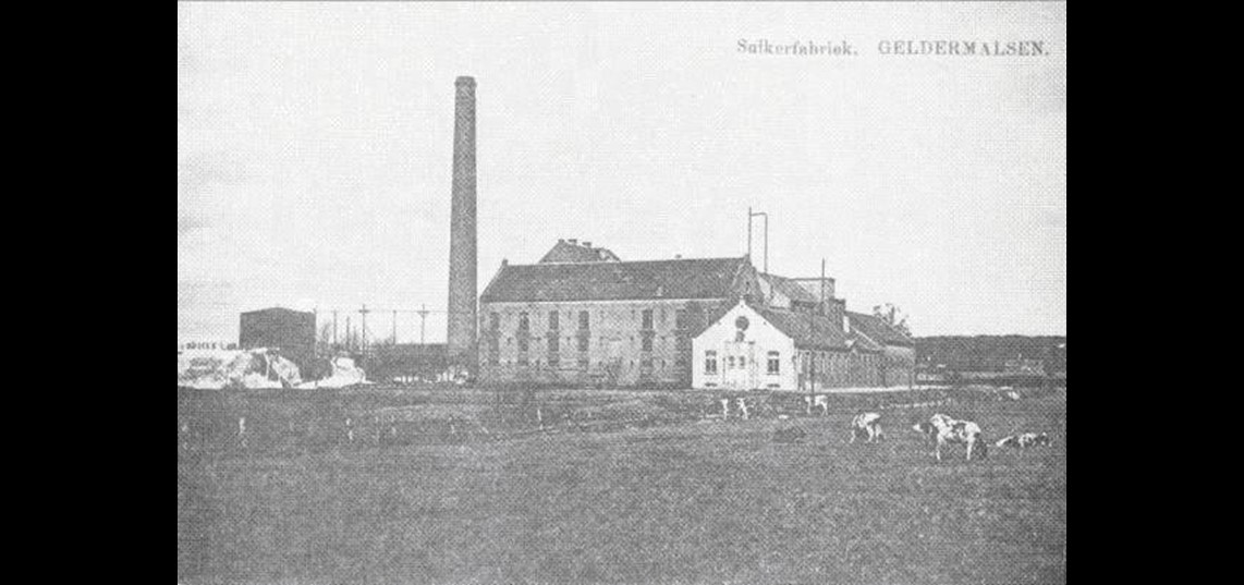 De NederBetuwsche Beetwortelsuikerfabriek (jaar onbekend). Bron: Draak, J. den en J.E. van der Sleesen, Het archief van de Neder-Betuwsche beetwortelsuikerfabriek 1866-1919 (Arnhem, 1987). 