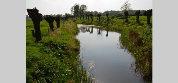 De Ruitersbeek, die door de bron in het fazantenbosje op Middachten wordt gevoed, brengt het water van de Veluwe naar de vijvers op de Hof te Dieren (Bron: Marianne Poorthuis)