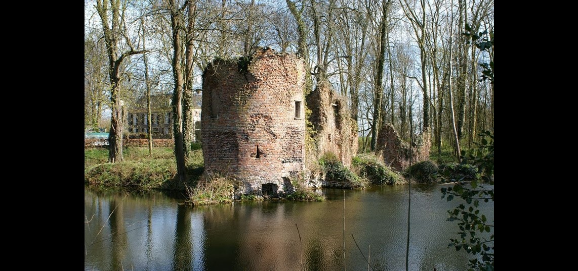 De ruïne van kasteel Brakel (Bron: Peter van der Wielen)