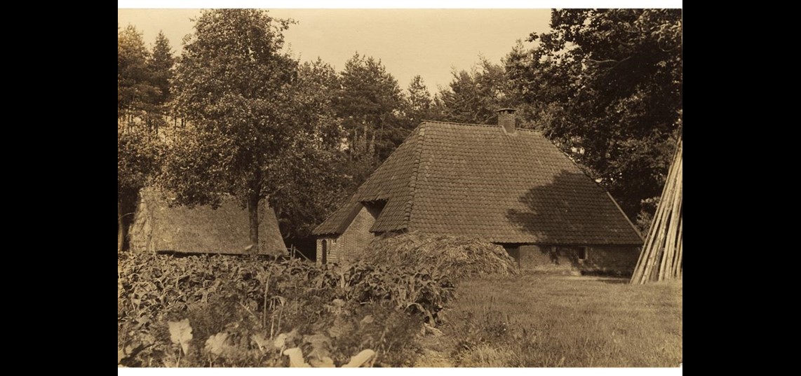 Sterreveld van het landgoed in 1939 (Alle rechten van deze foto zijn voorbehouden aan landgoed Zelle)